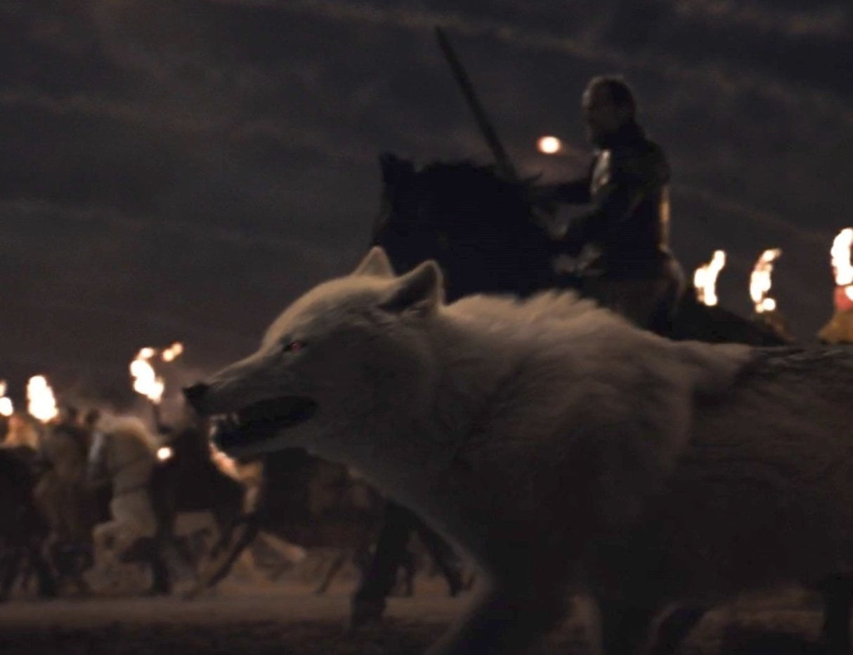 Jon Snows Dire Wolf Ghost Alive or Dead