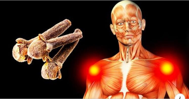 These Things Will Happen If You Eat 2 Cloves a Day