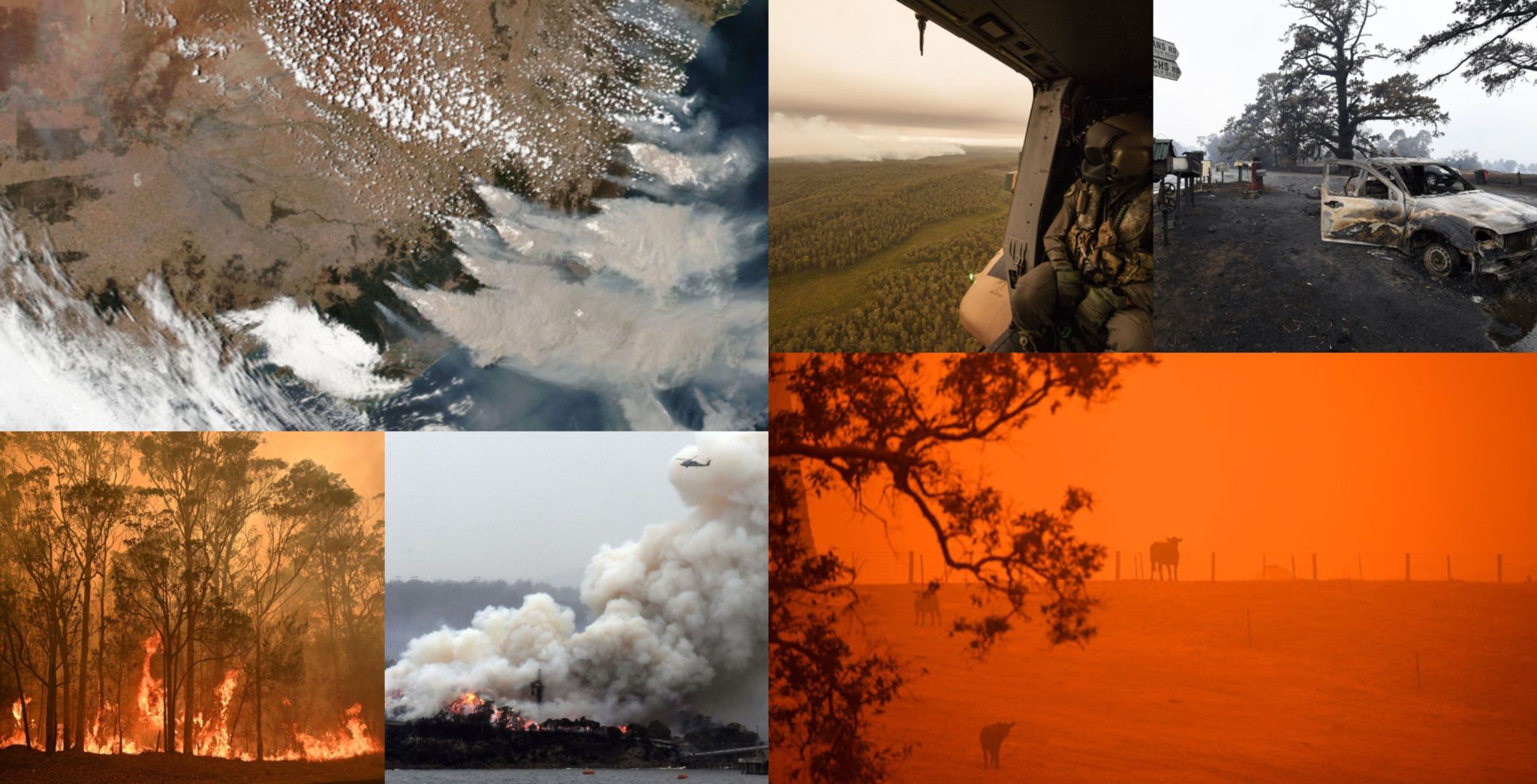 Avustralya'da orman yangınları