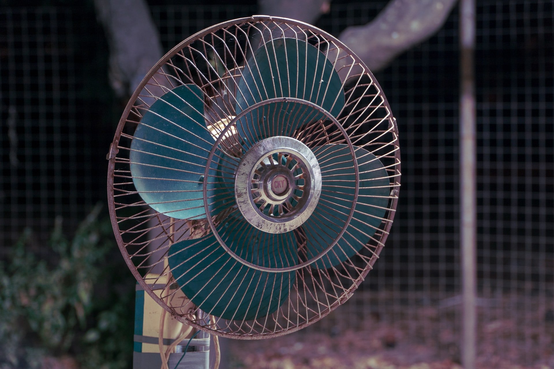 Mother Tears Son Electrical Engineering Degree After He Failed To Repair Fan