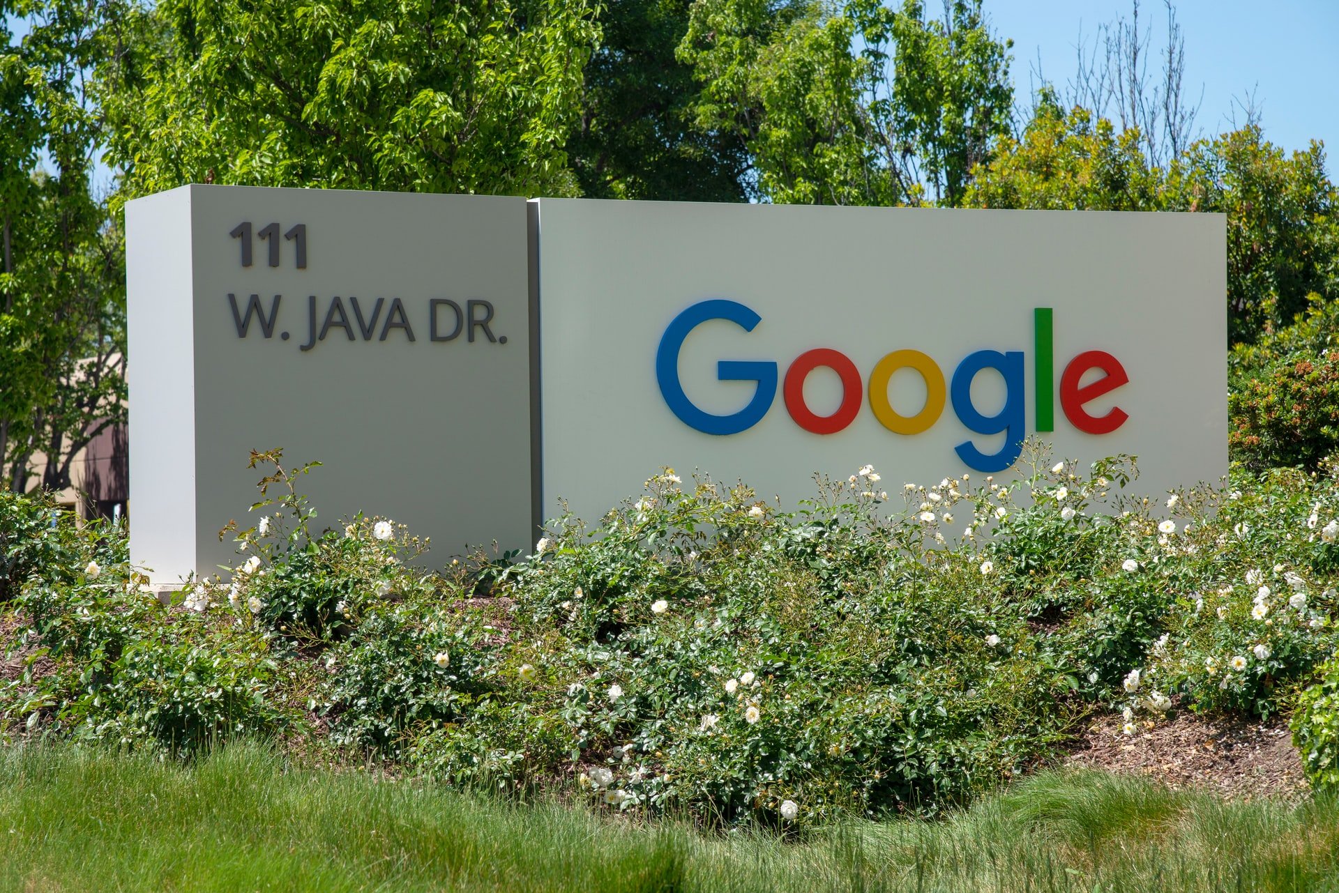 Google Employees
