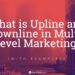 what is upline and downline in multi level marketing