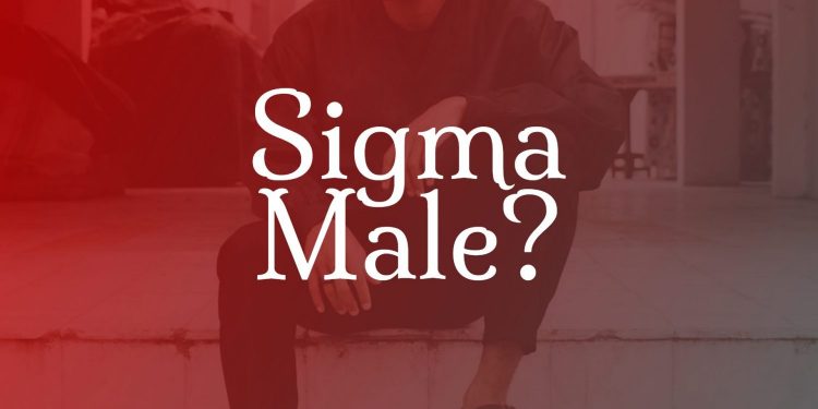 Was ist ein Sigma-Männchen? Wie wird man eins mit Definition und Bedeutung?