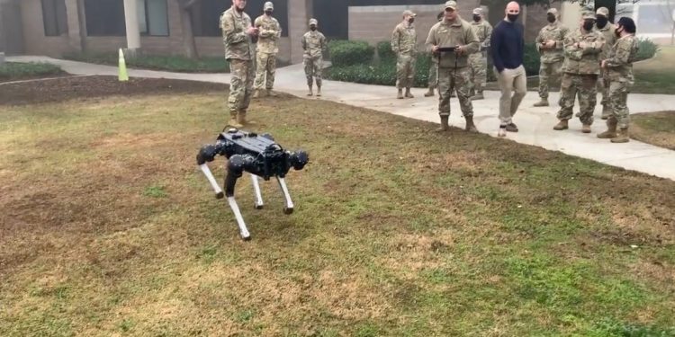 Robot beveiligingshond