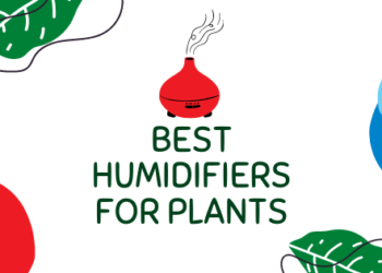 best humidifiers for plants