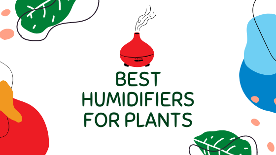 beste luchtbevochtigers voor planten