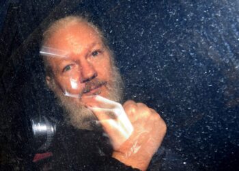 Julian Assange Worth