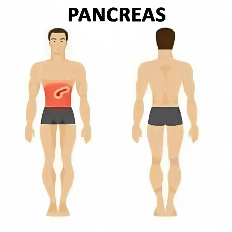 Pancreas Pain
