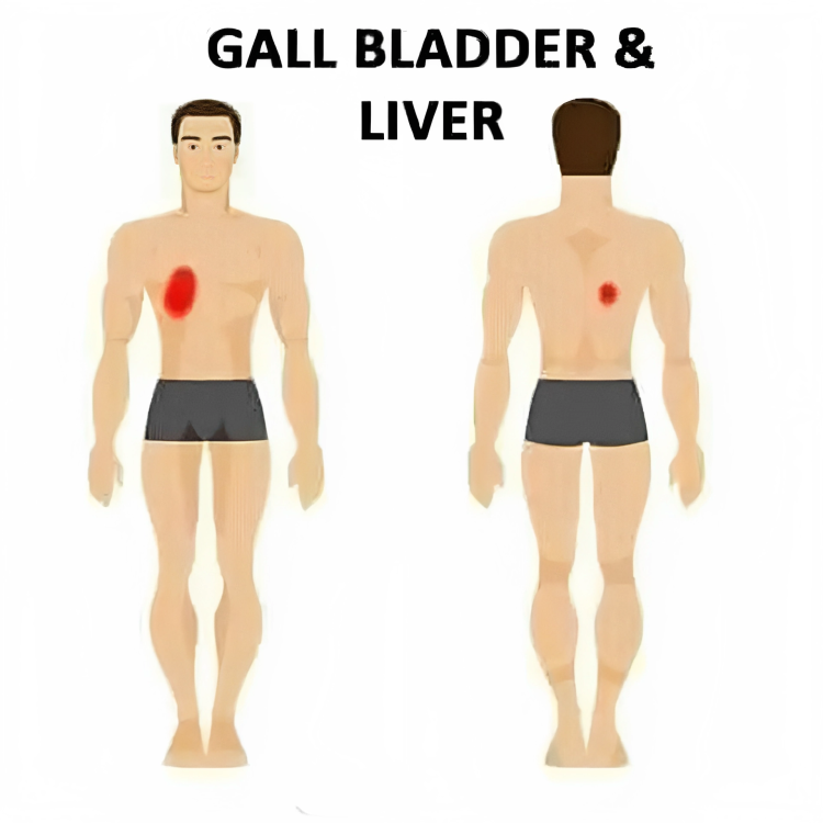 gall bladder and liver pain