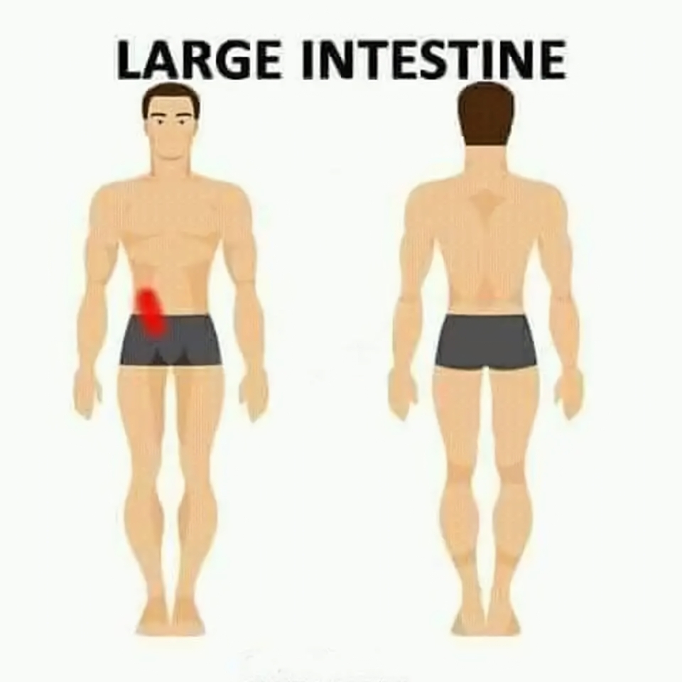 large intestine pain transformed