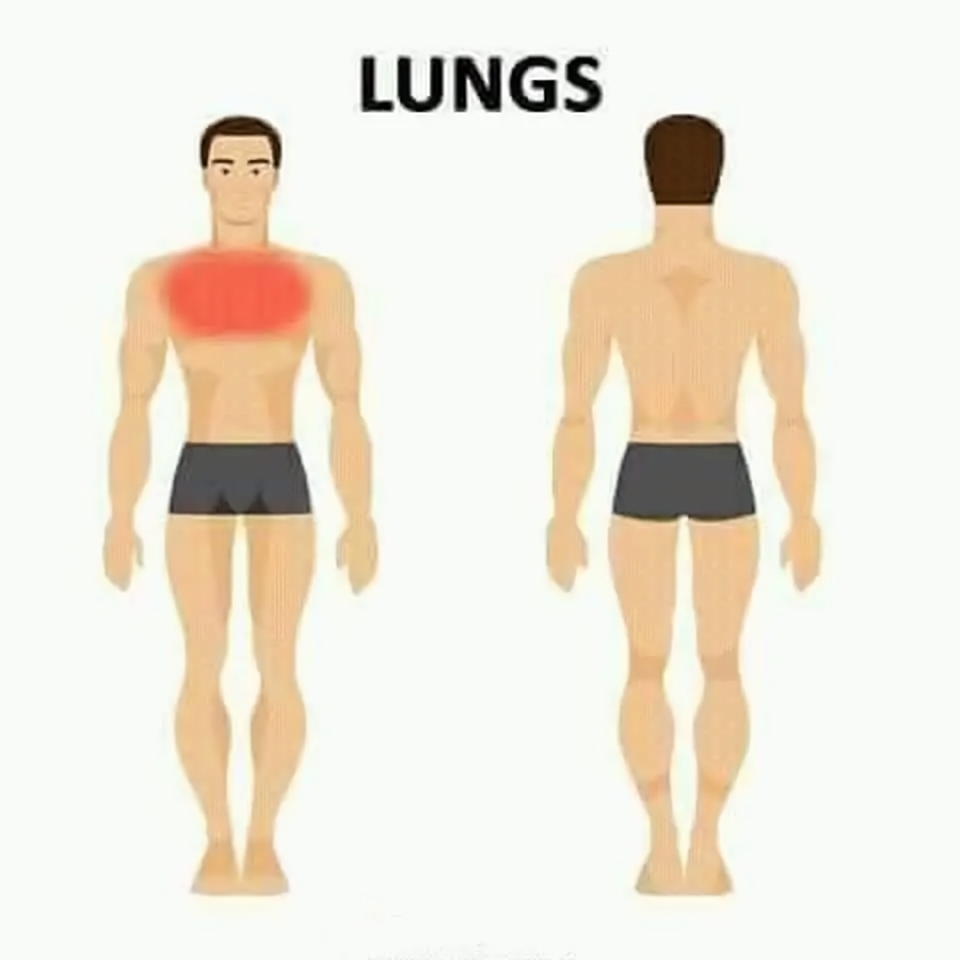 lung pain transformed
