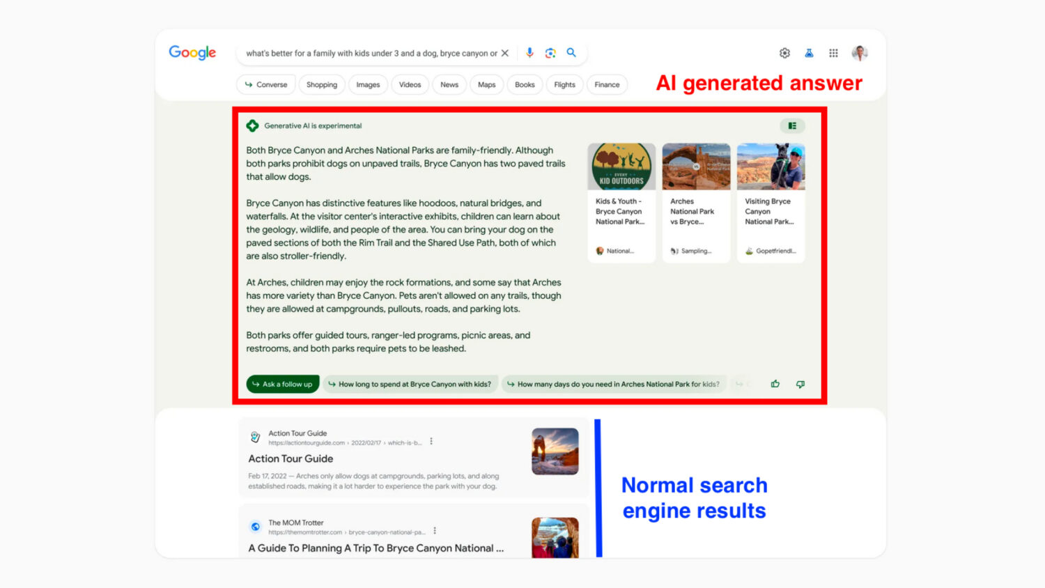 Google AI Summary and Search Results
