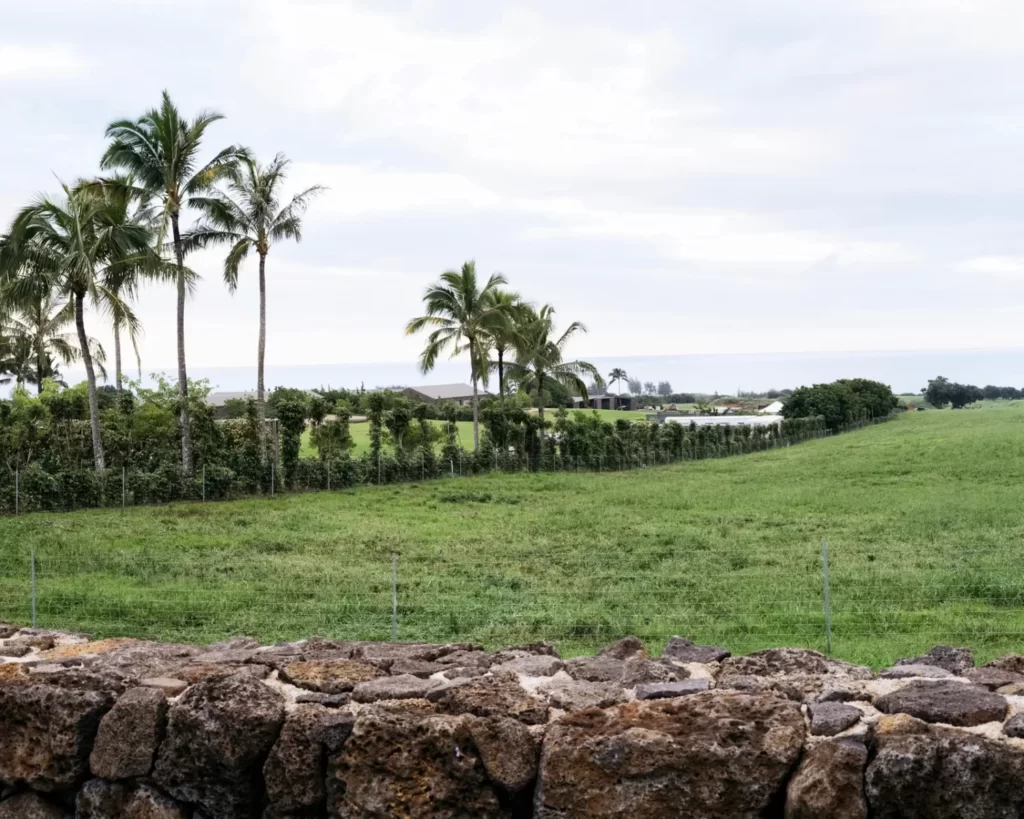 Structures situated on Zuckerberg's estate are visible in the distance from Koolau Road.