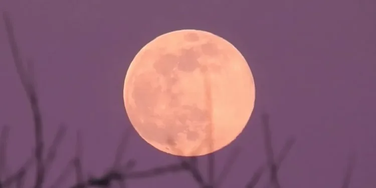 القمر الوردي