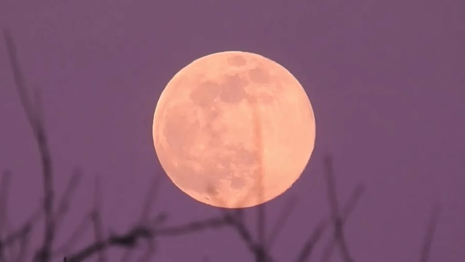 April Full ‘Pink Moon’ To Dazzle Skies Tonight