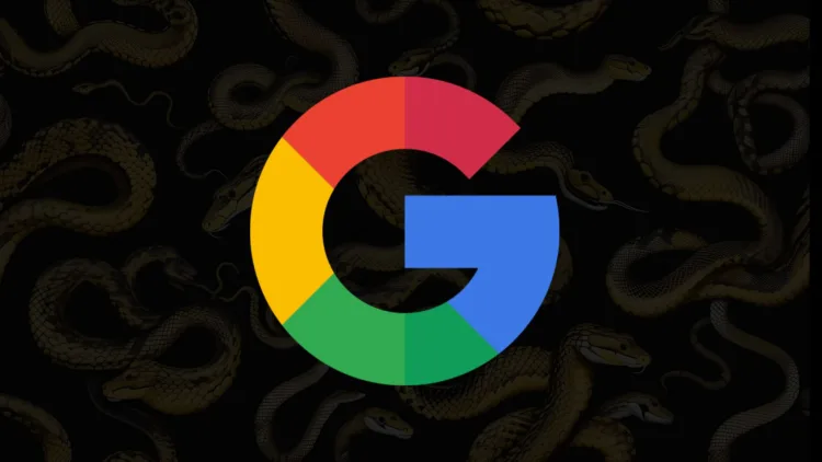 google python team