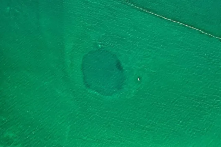 a large circle in the water