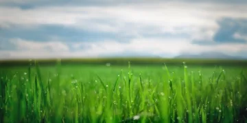 How to Cancel Sling TV: A Step-by-Step Guide