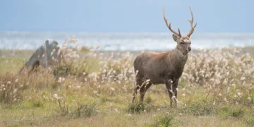 Dua Lipa Arrives in Mumbai for November 30 Show