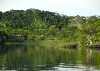 Is Best Buy or Amazon Better for Laptops?