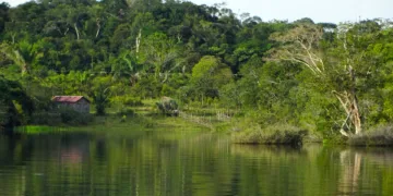 Is Best Buy or Amazon Better for Laptops?