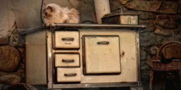 Is a Stove and an Oven the Same Thing?