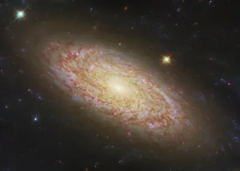 Webb And Hubble Capture Two Views Of One Galaxy