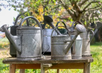 What Can I Use Instead of a TV Stand?