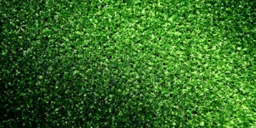 artificial turf 2402634 960 720.jpg