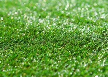 artificial turf 3456849 960 720.jpg