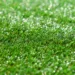 artificial turf 3456849 960 720.jpg