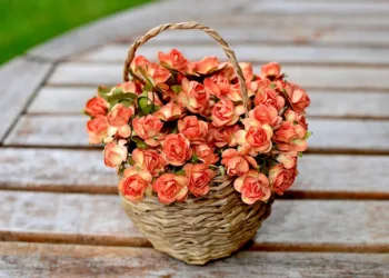 flowers 4160313 960 720.jpg