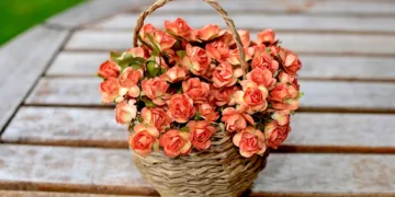 flowers 4160313 960 720.jpg