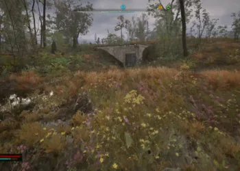 STALKER 2: The Lost Boys Dew - Ninth Choice Guide