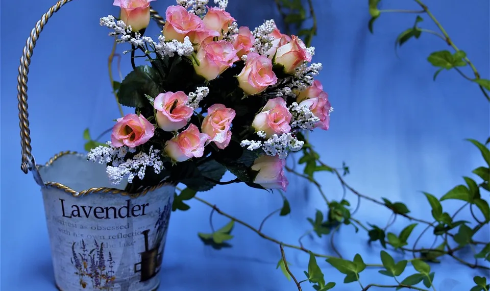 rose 1906463 960 720.jpg