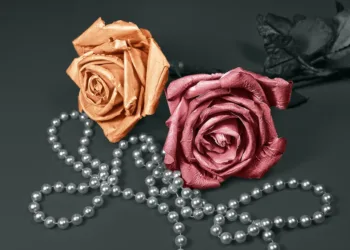 rose 3129124 960 720.jpg