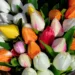 tulips 5472885 960 720.jpg
