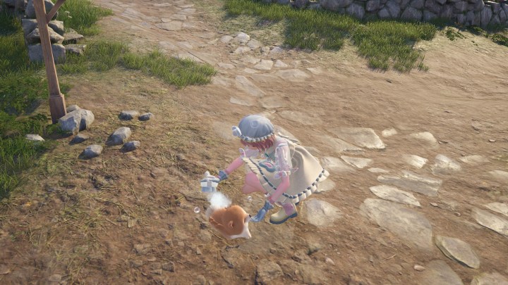 Grooming an animal in Infinity Nikki.