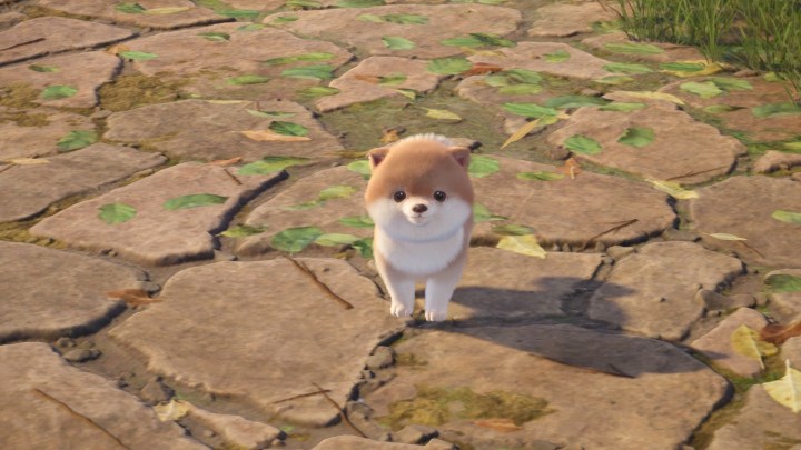 Floof in Infinity Nikki.