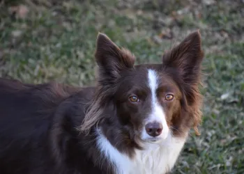 How to Get Lattice in Marvel Rivals: A Step-By-Step Guide