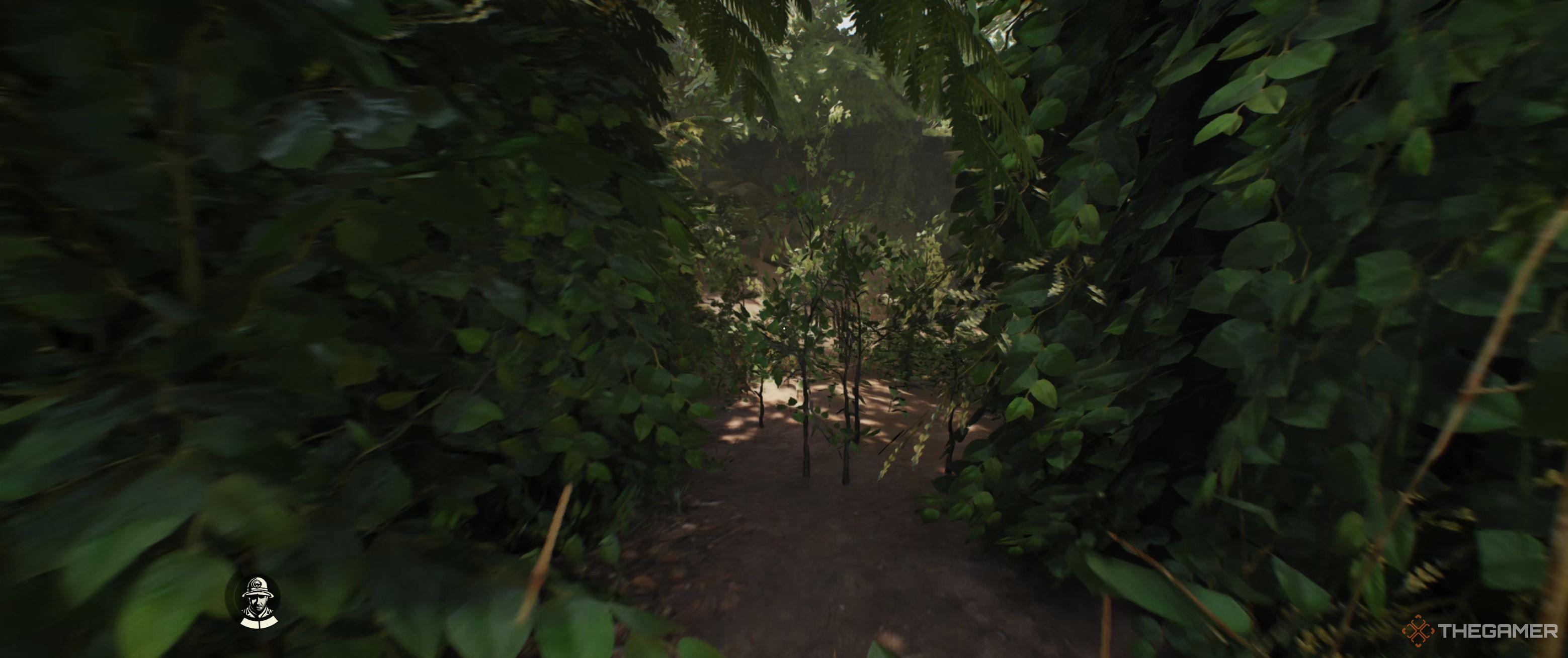 Indy navigating through a narrow bush path.
