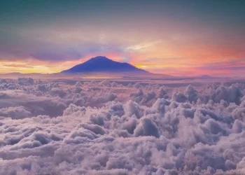 Selena Gomez Engaged, Benny Blanco Refers to Her as 'Wife'