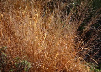 How To View Your Stats in Xbox Year in Review 2024