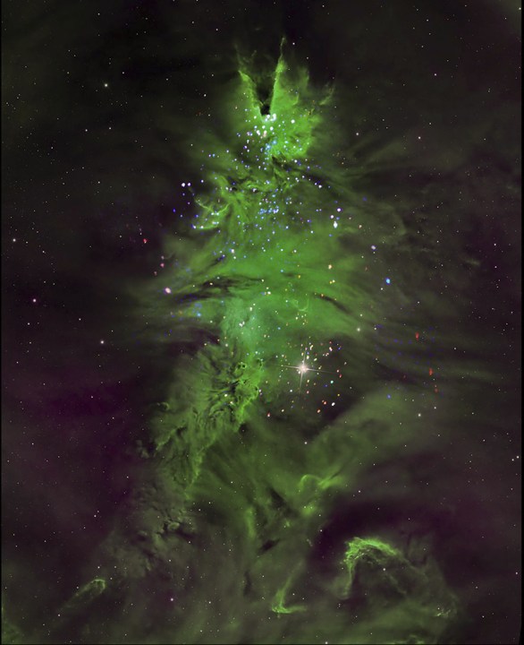 NGC 2264, the 'Christmas Tree Cluster'