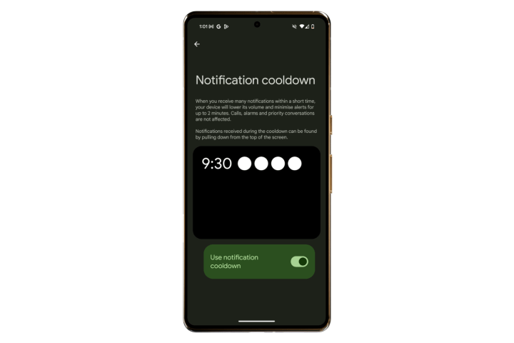Notification Cooldown toggle in Android 16