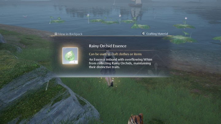 Rainy Orchid Essence in Infinity Nikki.