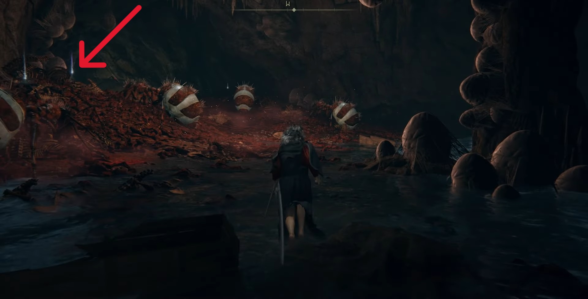 Immunizing Horn Charm location