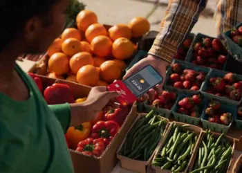 Apple Pay Gets A Big Alternative On The iPhone Now