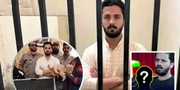 Close Pal Linked to Rajab Butt's Arrest in Weapon, Cub Case