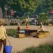 Complete Guide to All Planet Zoo Downloadable Content Packs